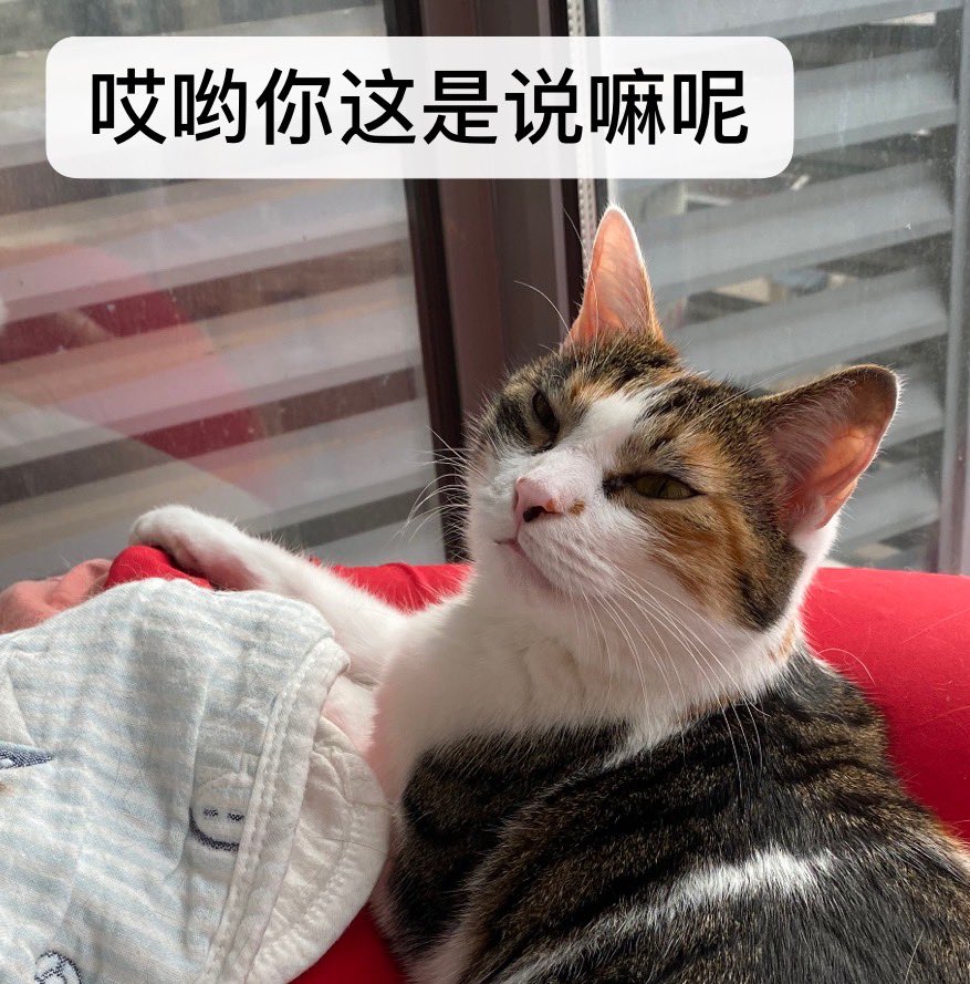 跳跳张 tweet media