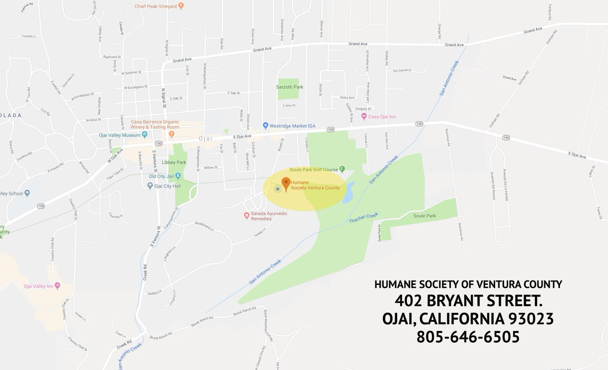 humanesocietyvc's tweet photo. We are accepting evacuee animals from both #Ventura and #LosAngeles counties. We have facilities that can shelter large and small domesticated and farm animals. Anybody bringing their animals please call our front desk at 805-646-6505. #hsvc #ojai #socalfire #saddlefire #wildfire https://t.co/RdOBysHzPq