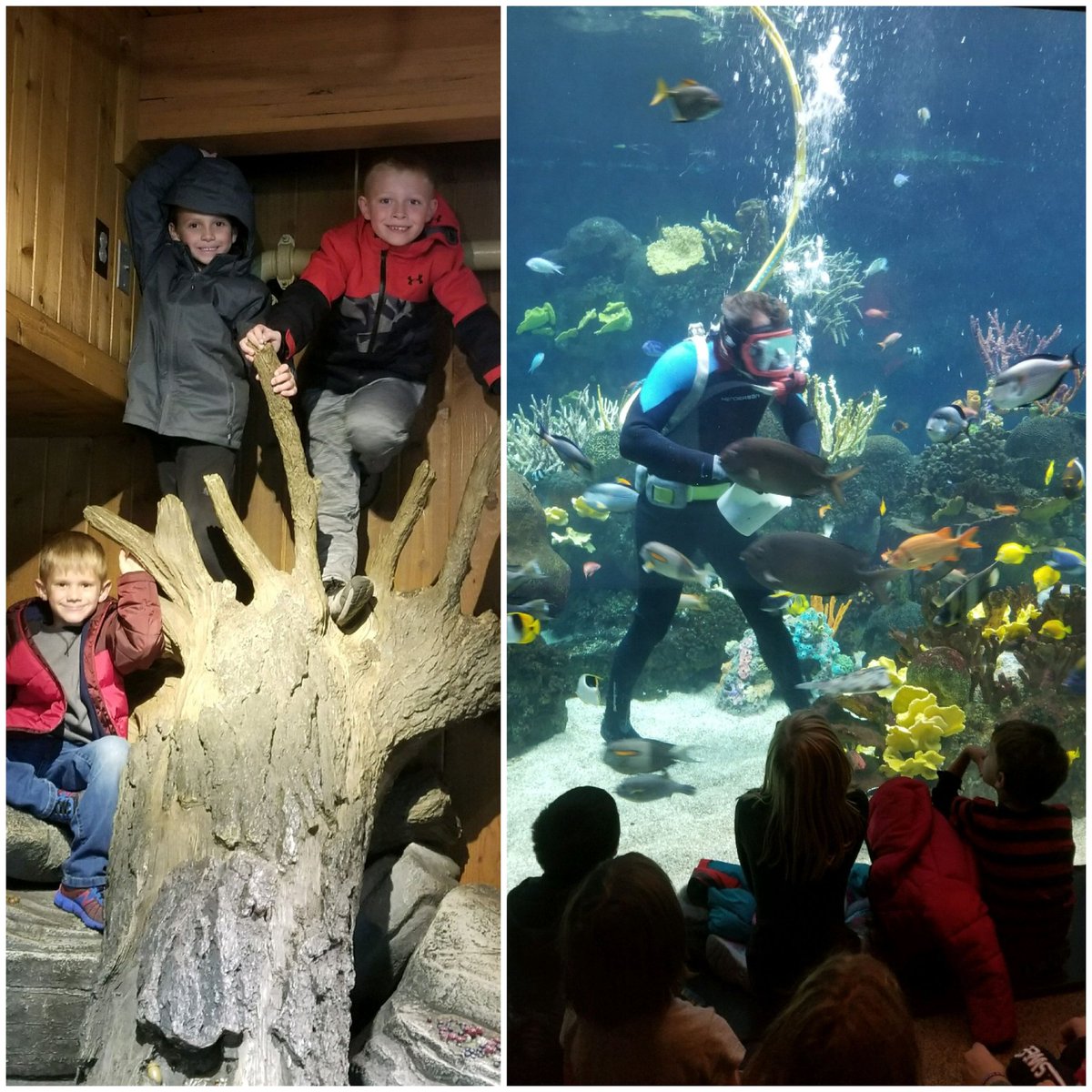 KruegerKids's tweet photo. We had a fun-filled educational day seeing many animals and habitats at the Minnesota Zoo today! https://t.co/pqvd7Gq3FX