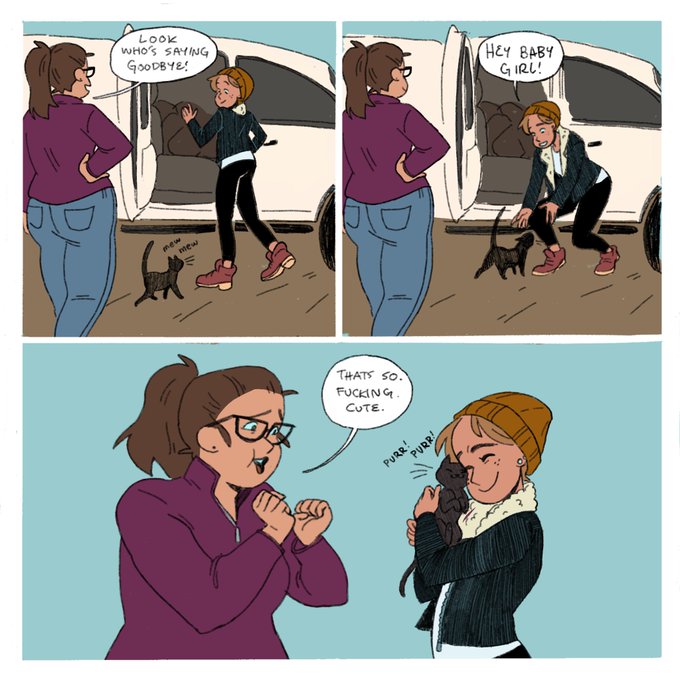 There was three little farm cats at the place we stayed and they constantly were trying to jump into our cars 