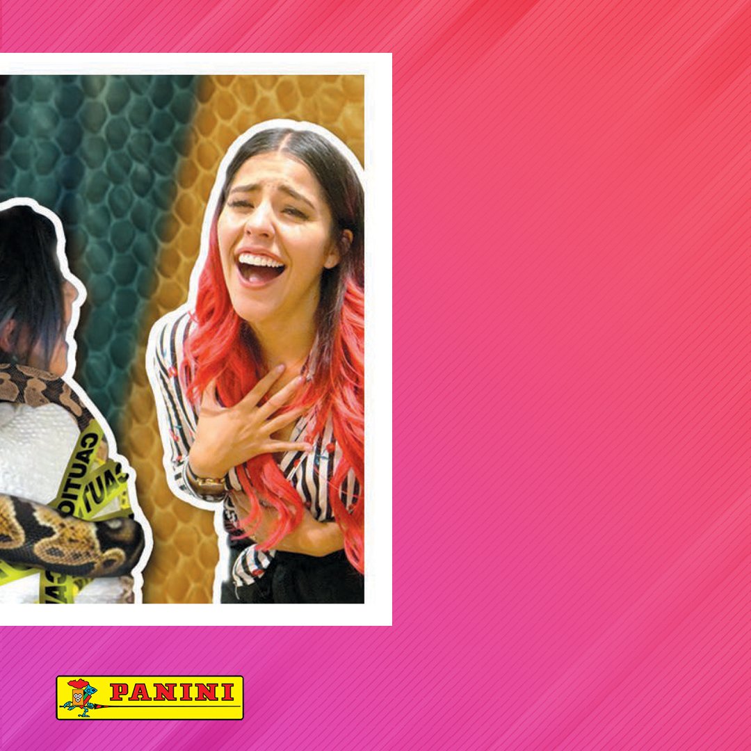 ¿Listo para vivir aventuras? 😜Llegaron los hermanos preferidos de Youtube a Panini, llegaron #LosPolinesios ✨Reviví todas sus aventuras, bromas y viajes en el álbum oficial Polinesio. Corré a buscar el tuyo a los kioscos de golosinas o en zonakids.com