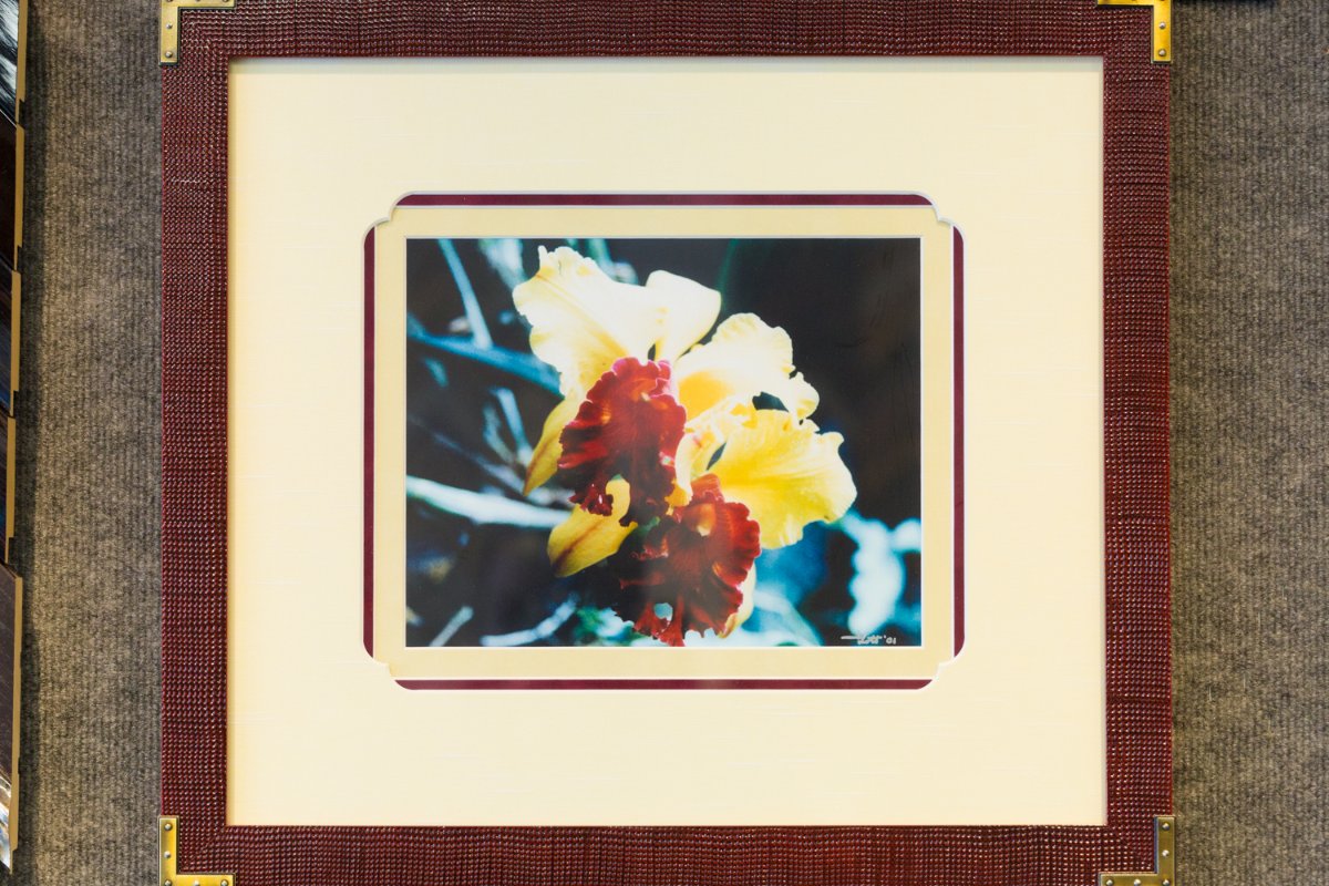 Fastframe_Skill's tweet image. Let our frames give your wall a voice.