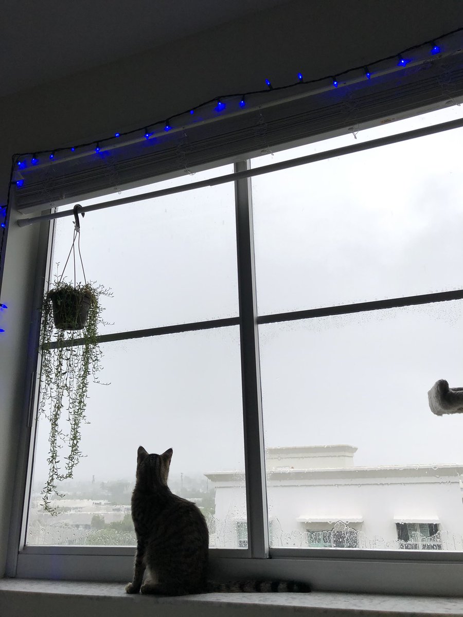 he also loves to watch the rain