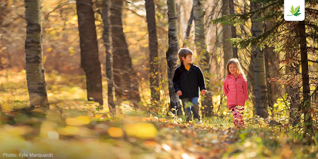 NCC_CNC's tweet photo. Looking for a great way to spend quality family time together this #Thanksgiving long weekend? Go on a fall adventure and explore an NCC Nature Destination with your loved ones!
Find a destination at https://t.co/McGKBNSUYi
#NatureDestinations #getoutside #longweekend https://t.co/n3lzM33Uoe