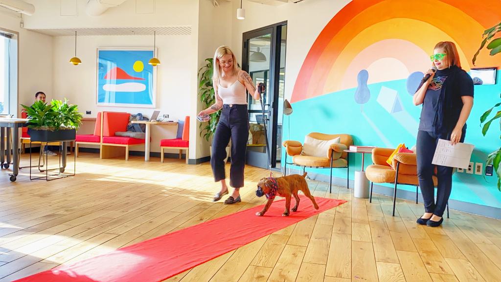 WeWork's tweet photo. In honor of Bellevue Fashion Week, our WeWork community in Seattle got creative and held a doggy fashion show. #weworkseattle #dogsofwework https://t.co/n6jCZjeNtZ