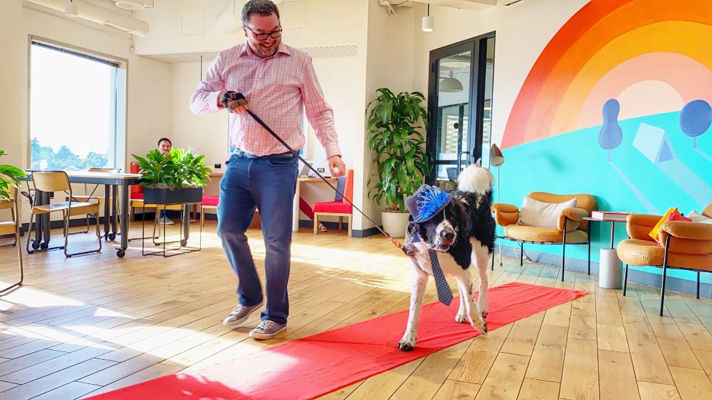 WeWork's tweet photo. In honor of Bellevue Fashion Week, our WeWork community in Seattle got creative and held a doggy fashion show. #weworkseattle #dogsofwework https://t.co/n6jCZjeNtZ