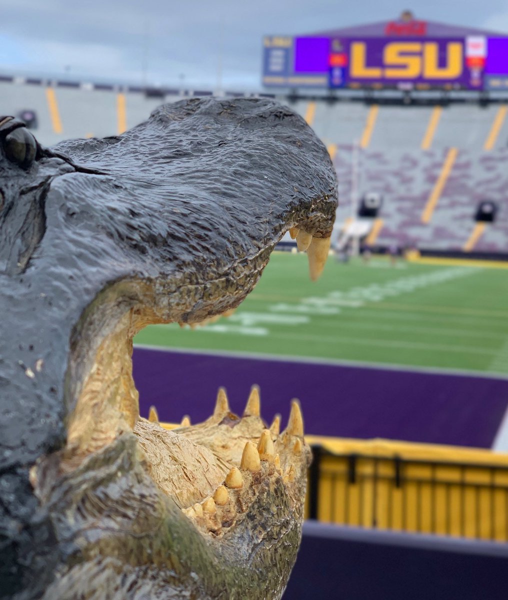 OurTwoBits's tweet photo. #BeatLSU https://t.co/X7GdHO9u6I