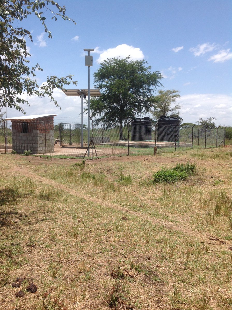 Ian Flower tweet media