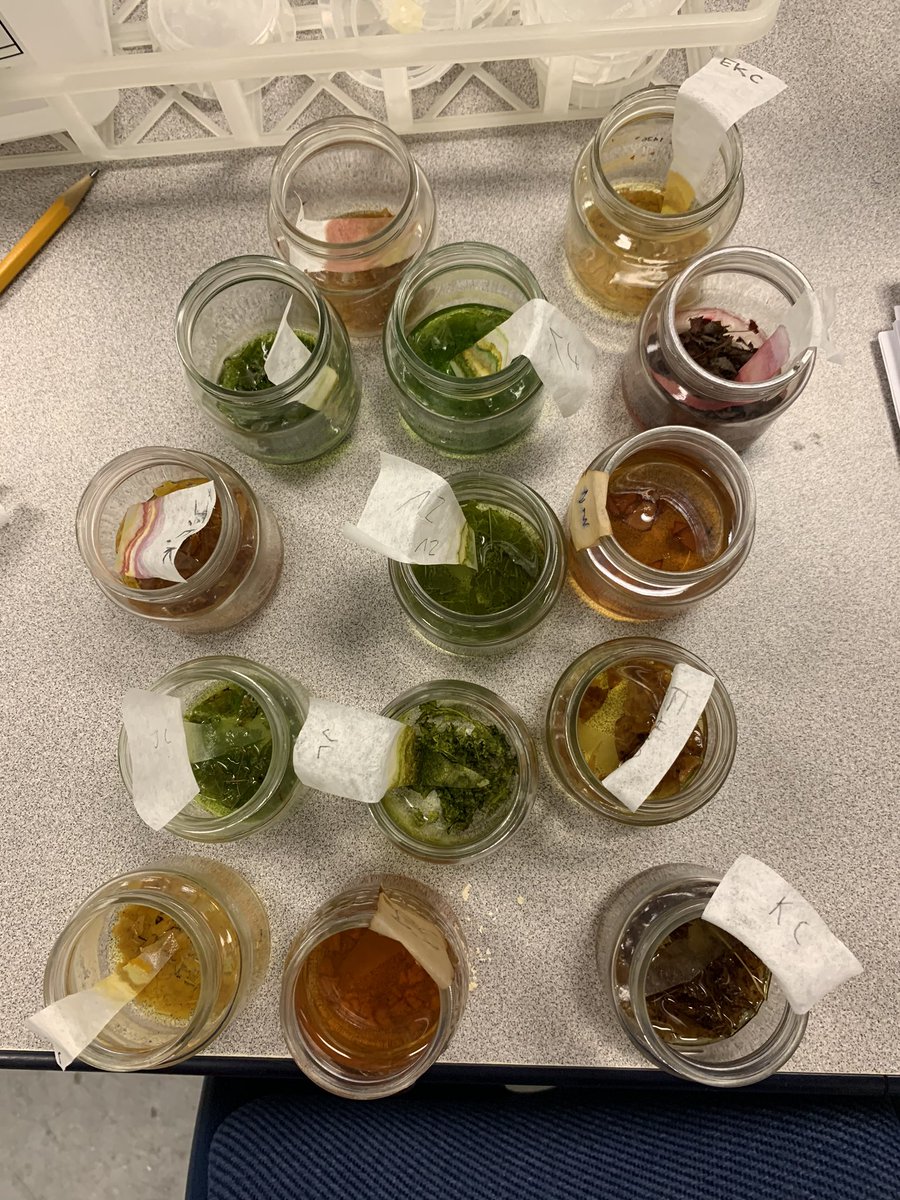 AveryFFA2's tweet photo. Why do leaves change color in the fall? Just ask a Hort I student! Fun labs! @AveryFFA2 @averyhighschool @avery_ffa https://t.co/1K6I3OvIH2