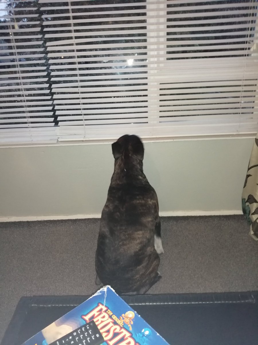 HarleyStaffy's tweet photo. Waiting for my mate ❤️ https://t.co/D87NWk0G8H