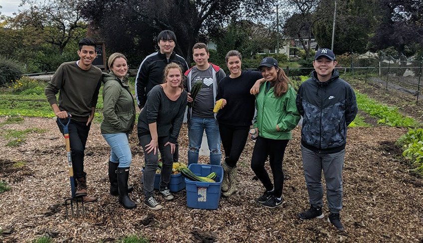 BoardofTrade's tweet image. Are you under the age of 35 and looking for a fun way to expand your network while giving back to the community? Join our #CYPprogram on Oct. 27 as they roll up their sleeves and volunteer with @FreshRootsFarms! Learn how to get involved at boardoftrade.com/freshroots! 🥕 #GVBOT
