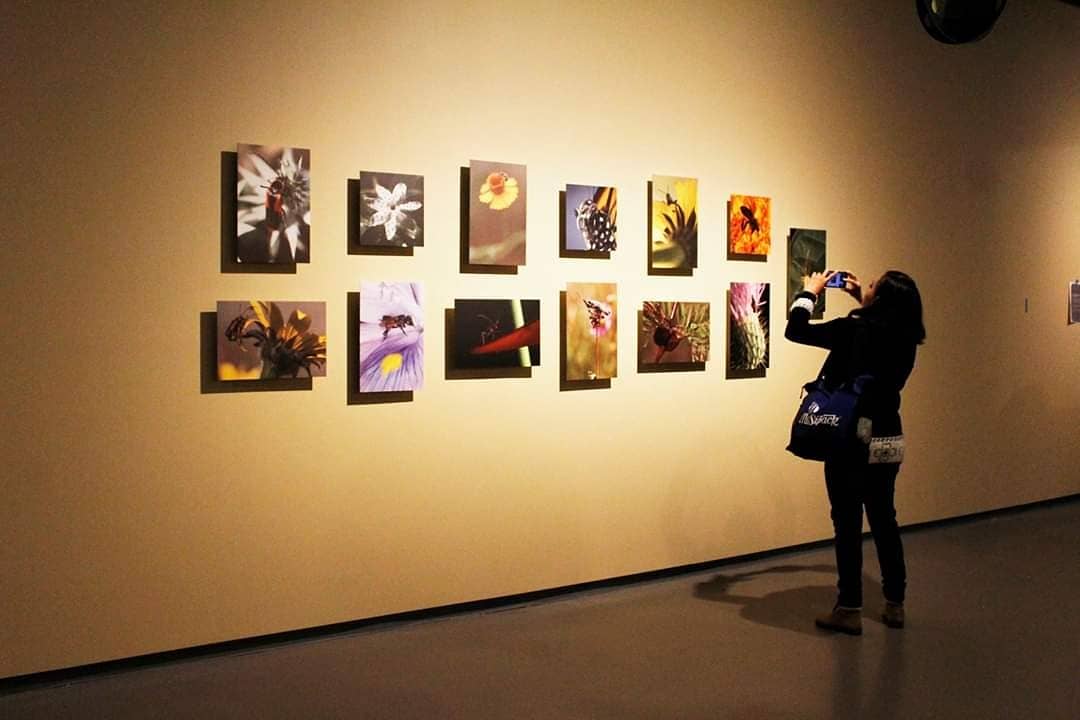 IndicMx's tweet photo. ¡Viscosos pero sabrosos! Lánzate al Colegio de San Idelfonso a la expo "El arte de comer insectos" la muestra mezcla el arte, ciencia e historia a través de esta muestra gastronómica ¿se te antoja? 🐛🐜🐝🐞🕷️
⠀
Fotos: Itzel Romero.
⠀  
#CDMX #INDICmx #Insectos https://t.co/iGZTv11BqG