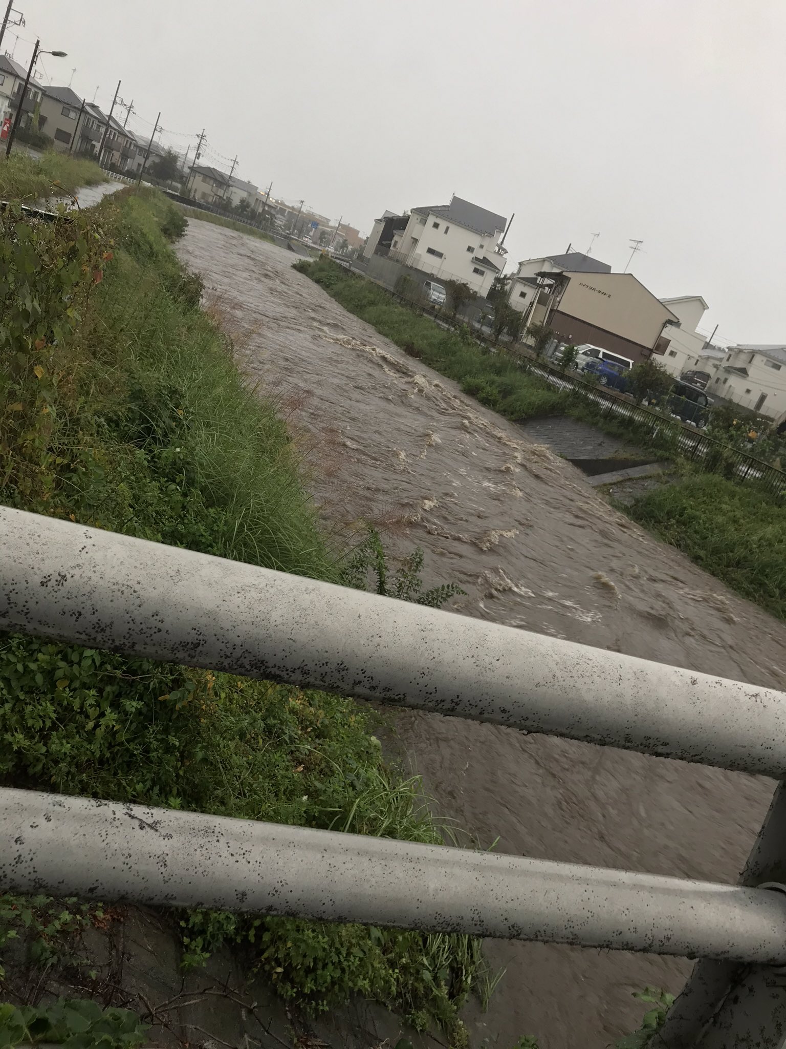 台風１９号の豪雨で境川が氾濫危険水位を超えている現場の画像