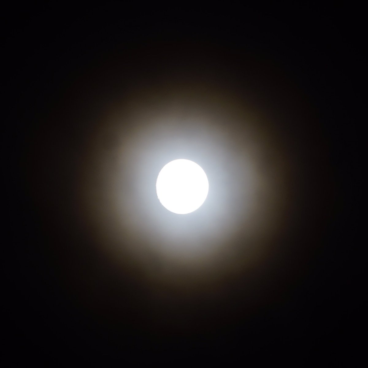 The moon with a ring of scattered light from thin clouds.