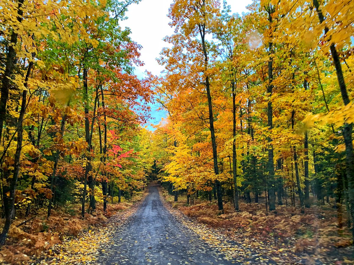 josholson's tweet photo. Feeling thankful to live in the @UpperPeninsula #fallcolors https://t.co/giAvvAzZyr