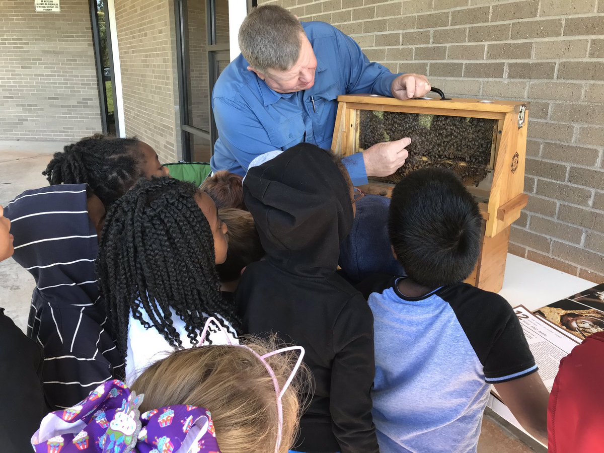 onealLES's tweet photo. We had a bee expert come to @LeaphartElem today! It was fun seeing the kids get an up close view of these amazing species! #ThisIsLeaphart #AnimalsAsEngineers #BeeExpert https://t.co/7qCr11LHFm