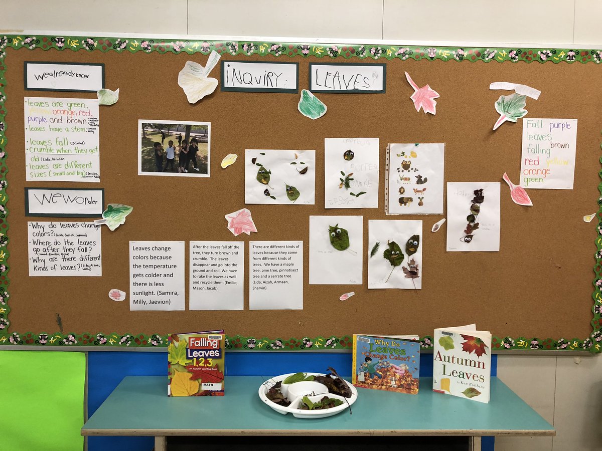 _MsWang's tweet photo. The kindies have been inquiring and learning about leaves, in the past couple of weeks and were eager to share our inquiry board with their parents! 🍂🍁🔍 @TDSB_ChesterLe  @EarlyYearsTDSB #inquirybaselearning #FDK https://t.co/uR8mavlZYT