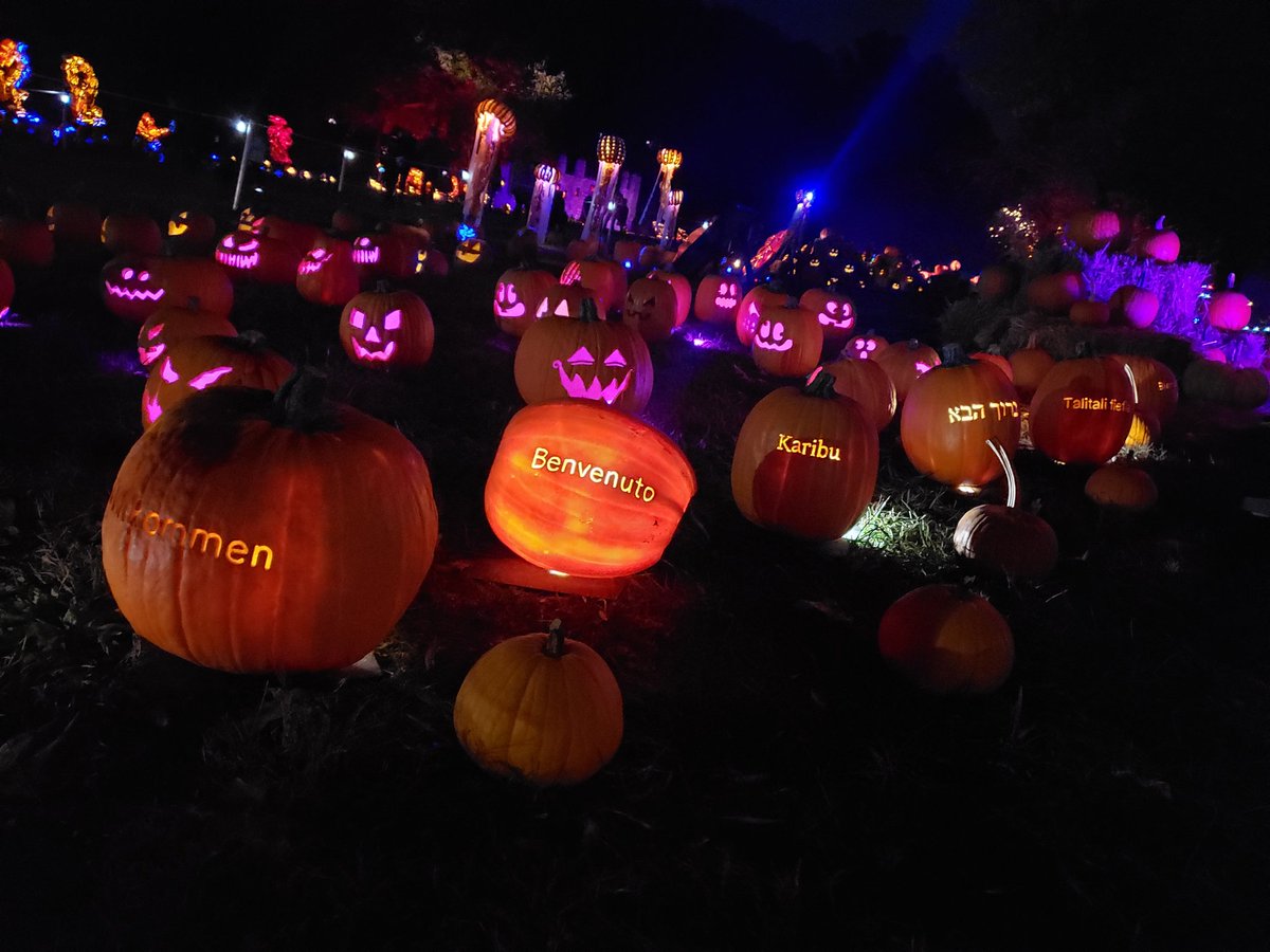 MrsWilliamsESOL tweet media