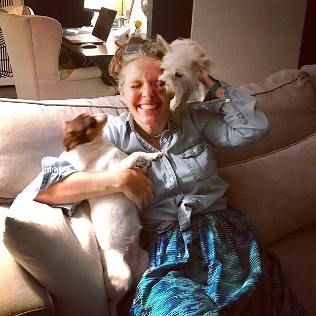 vcchickering's tweet photo. I love being a houseguest, I’m not kidding. #sassafras #grapenut #dogsofinsta #puppers https://t.co/IPEQyodmbK https://t.co/954Q3z9Xeo