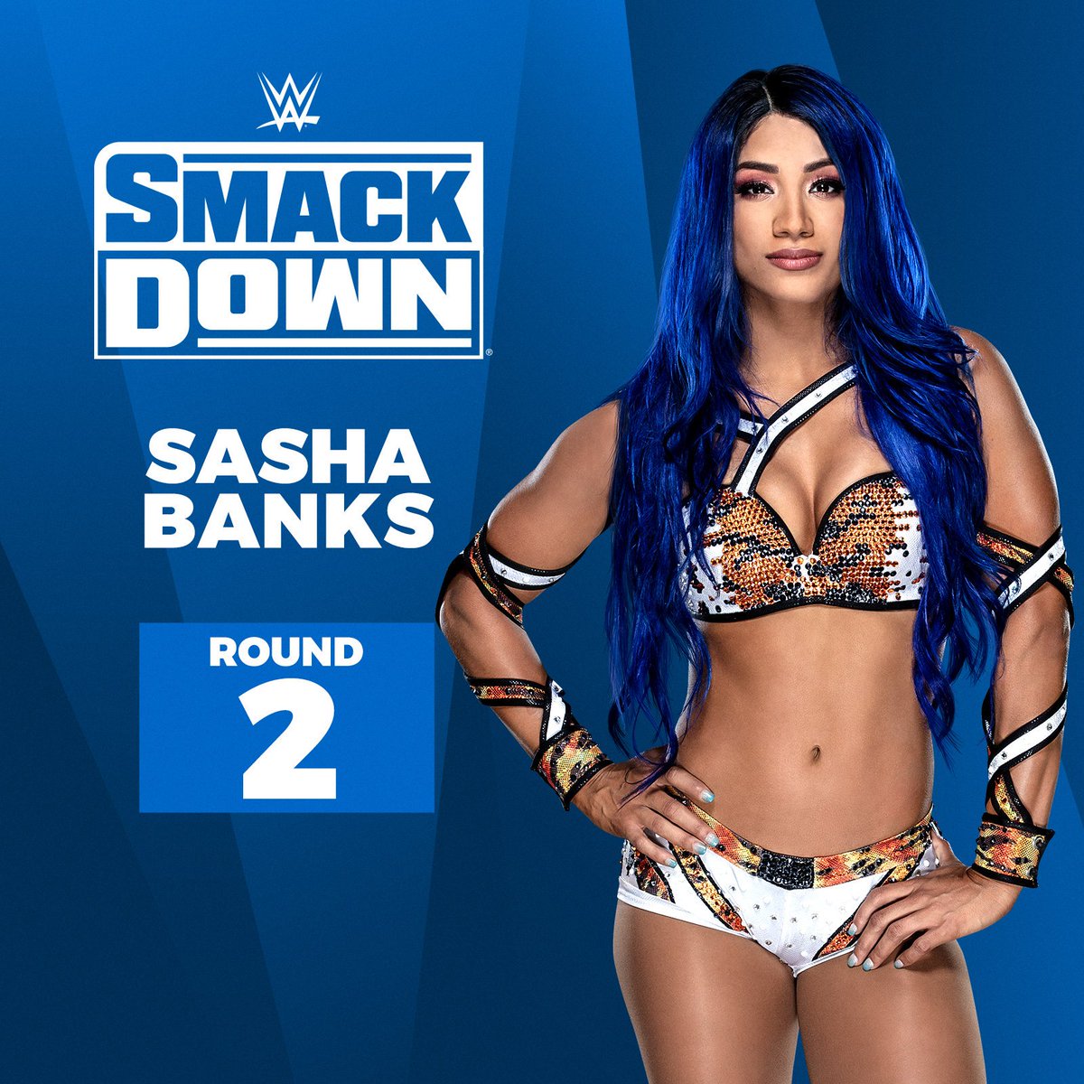 WWE's tweet photo. @BeckyLynchWWE @WWERomanReigns @LukeGallowsWWE @KarlAndersonWWE @AJStylesOrg @FOXTV @WWEBrayWyatt @DMcIntyreWWE @RandyOrton 💙HAIR, 💙 BRAND.

#TheBoss and #TheBlueprint @SashaBanksWWE are officially on TEAM BLUE! #WWEDraft #SmackDown https://t.co/nexFMT6aRT