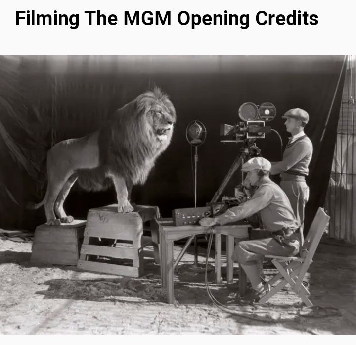 BanalityBuzz's tweet image. "It was here in 1928 that they filmed the famous roar, I hope those cameramen are still in one piece." 

I imagine their corpses have liquified by now, but still in one piece though I spose