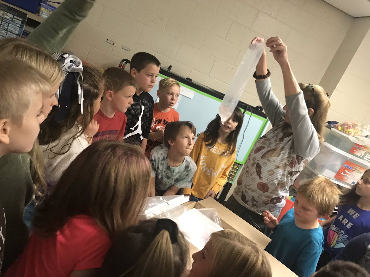 devinem42's tweet photo. Lake-Noxen 3rd Graders excited to receive rainbow trout eggs that they will be raising through participation in the PA Trout in the Classroom Program. #Knight_Vision3  @fishandboat https://t.co/R0vs2Xkntk