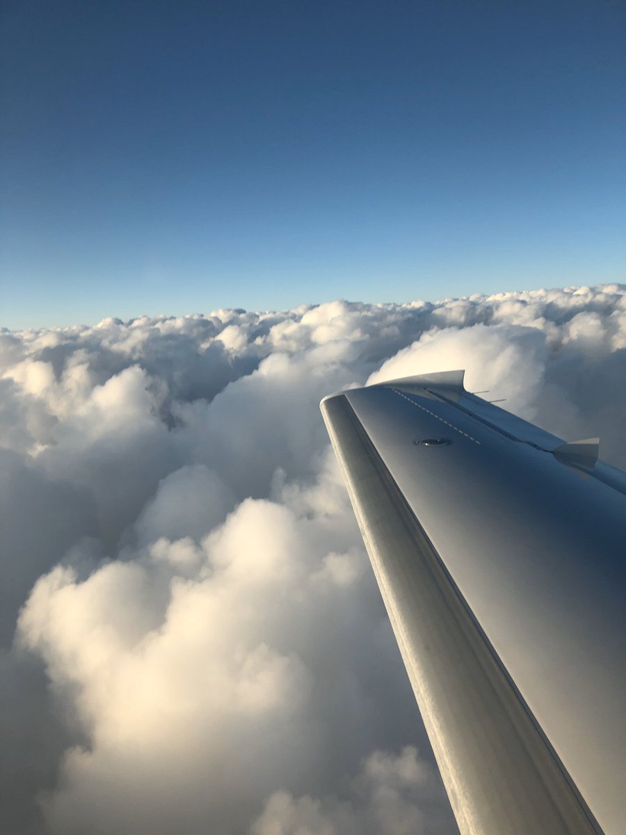 #capitalflight #flywca #flysynergy