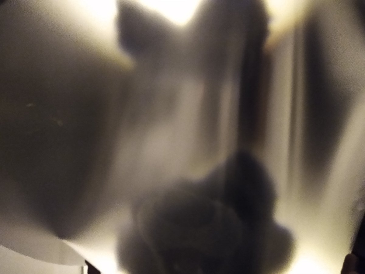 Ever cross between the plains of the universe? #FursuitFriday