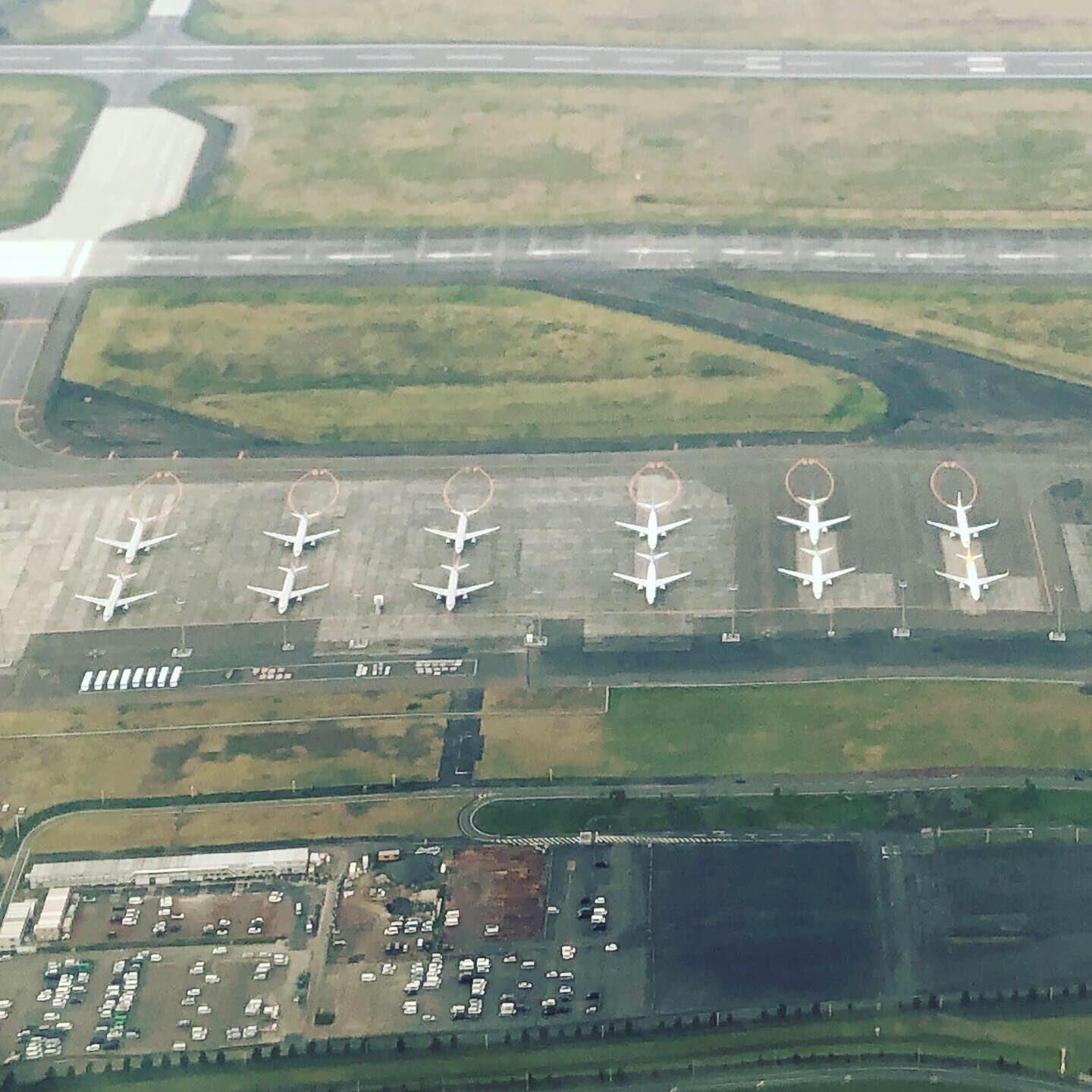 Zvesta こんな光景は初めて見た 羽田全便欠航 機材が余る 新千歳に大量停留 スポット足りない 縦列駐機 誘導路にも停めちゃえー 新千歳 新千歳空港 台風19号 飛行機