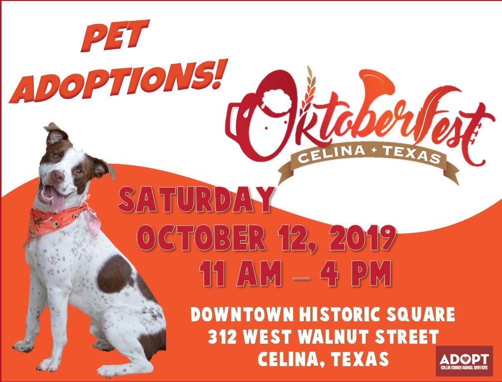 CollinCountyAnimals tweet media