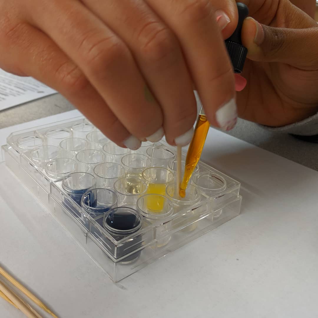 kporterEHS's tweet photo. Comparing the vitamin C content of different beverages, looking at the effects of time on vitamin C, and thinking about the speed of the cell cycle. Great way to end the week!
#NGSS #vitaminc #scienceeducation #chargerSTEM #sciencefun #scienceteacher https://t.co/46GqJAY9HL
