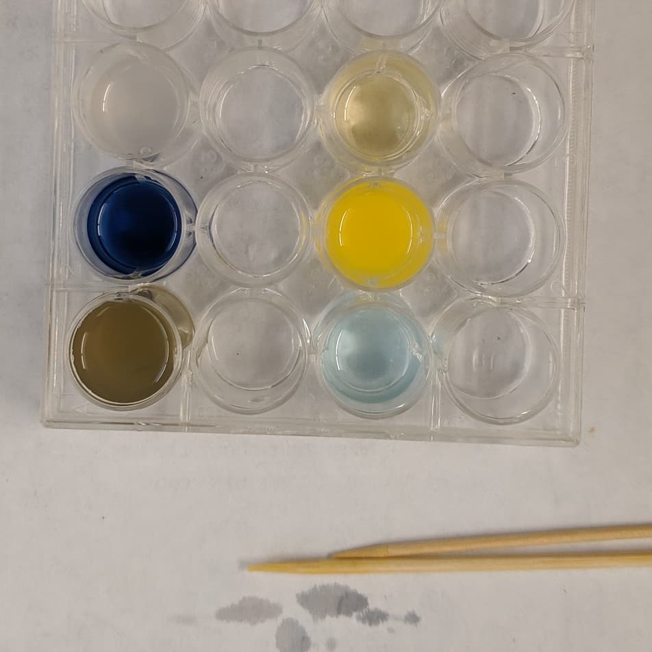 kporterEHS's tweet photo. Comparing the vitamin C content of different beverages, looking at the effects of time on vitamin C, and thinking about the speed of the cell cycle. Great way to end the week!
#NGSS #vitaminc #scienceeducation #chargerSTEM #sciencefun #scienceteacher https://t.co/46GqJAY9HL
