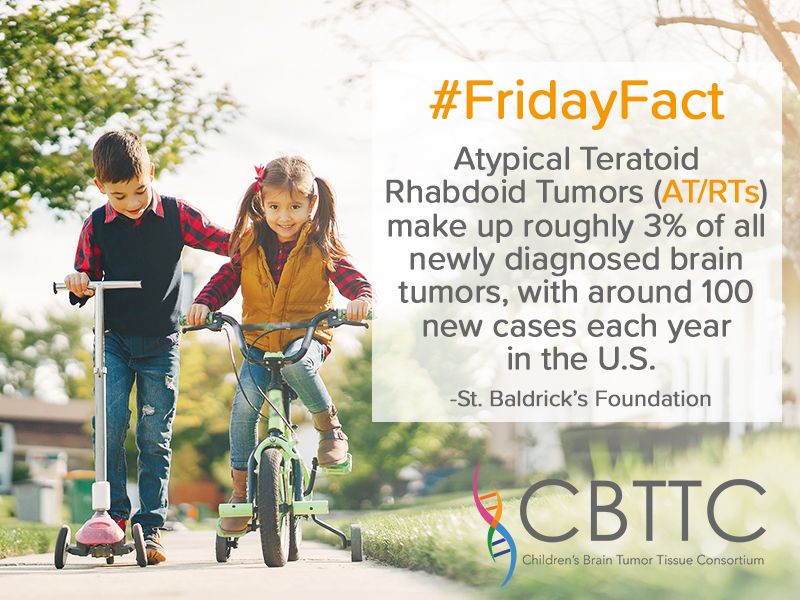 wearecbtn's tweet photo. Childhood #ATRTs don't occur at a rate where any one hospital or lab can swiftly collect the amount of data & biosamples needed to advance research & find a cure. Resource sharing & collaboration are key in accelerating research & saving lives.
#FridayFacts #Collaborate4Cures https://t.co/Ib3ep28rOk
