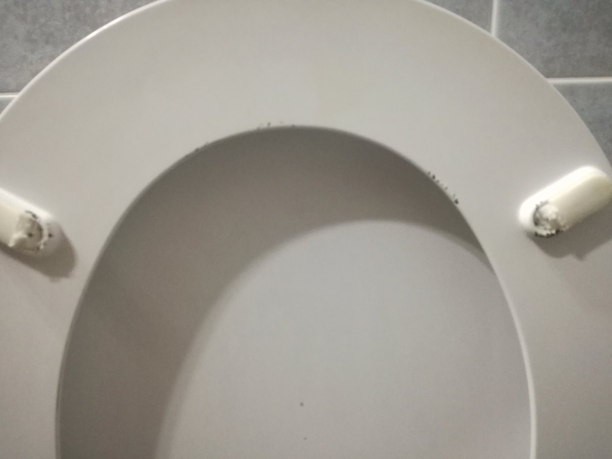 beatrizbg83's tweet photo. @RaquelBelmonte0 @Ayto_Sevilla El @Ayto_Sevilla no da solución ninguna y el problema aún va a más cada día amanece la tapa más roida https://t.co/SCAkRbN2Hm