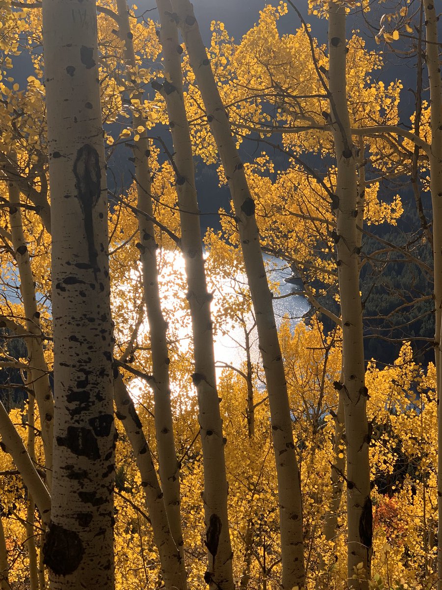 atalacs's tweet photo. @Colorado @AVE_rockies #I loveColorado https://t.co/O484nzIPVt