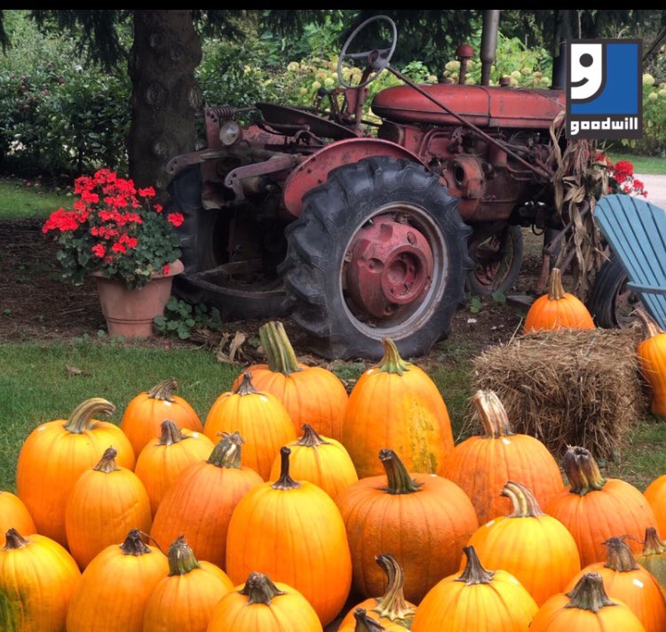 Goodwillconnect's tweet image. Goodwill Connections would like to wish you and your family a Happy Thanksgiving. Our program is closed on Monday, October 14th and will reopen Tuesday at 8 am.#ThanksgivingWeekend