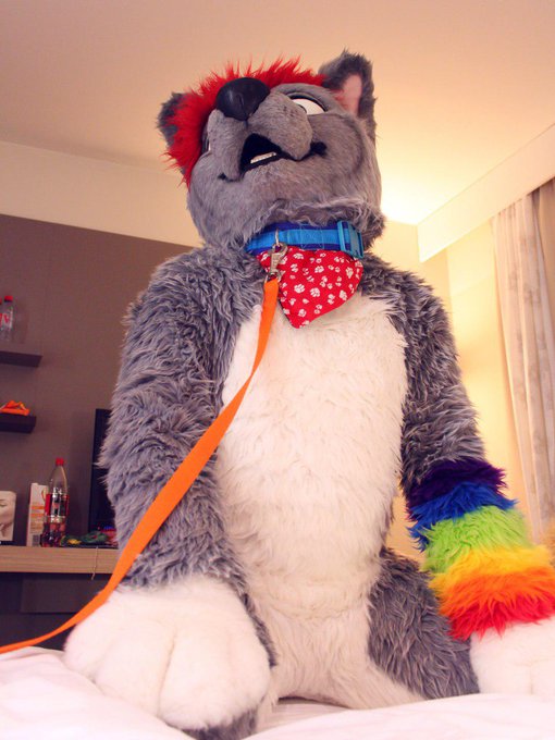 Anyone want to hold my leash and pet me ? #FursuitFriday Have a nice yiffy weekend!! ^,..,^  📸 @TixiePics<a href="/tag/fursuitfriday"class="tags">#FursuitFriday</a>