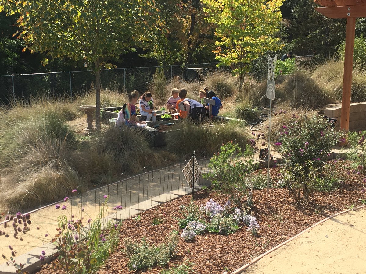 LexWildcatsLG's tweet photo. Beautiful Day for Science stations in the Life Lab! #wearelgusd #weareLex #weareTeamlex #LexLifeLab https://t.co/xrVhjTe8Jg