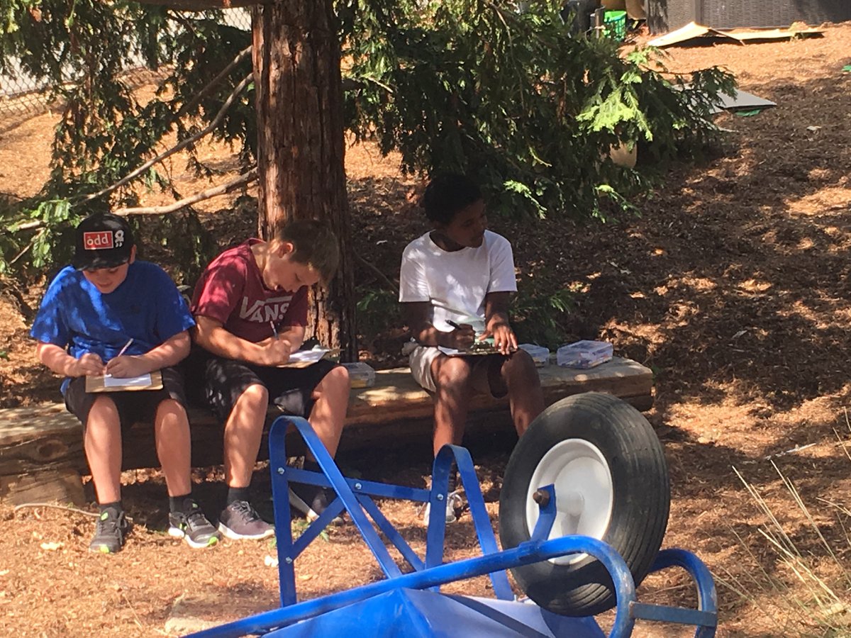 LexWildcatsLG's tweet photo. Beautiful Day for Science stations in the Life Lab! #wearelgusd #weareLex #weareTeamlex #LexLifeLab https://t.co/xrVhjTe8Jg