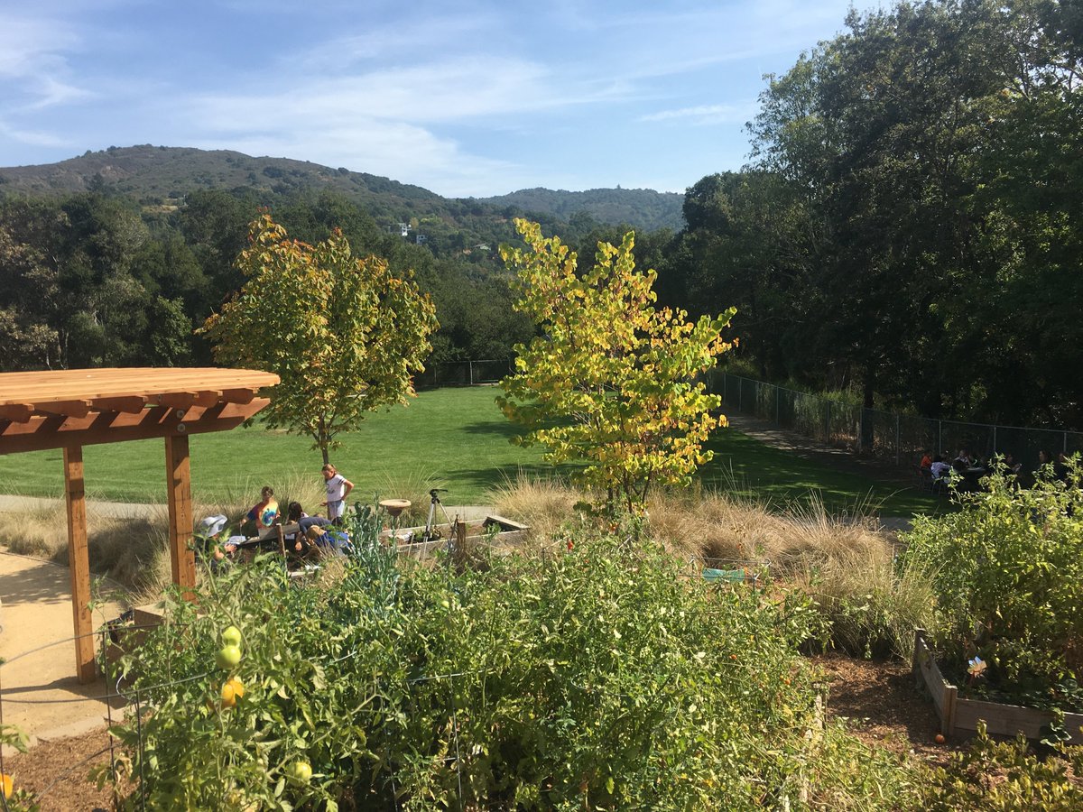 LexWildcatsLG's tweet photo. Beautiful Day for Science stations in the Life Lab! #wearelgusd #weareLex #weareTeamlex #LexLifeLab https://t.co/xrVhjTe8Jg