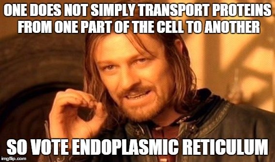 EndoReticulum5's tweet photo. @Bio2019Frazee  #roadtovictory https://t.co/EoKXtb7wrg
