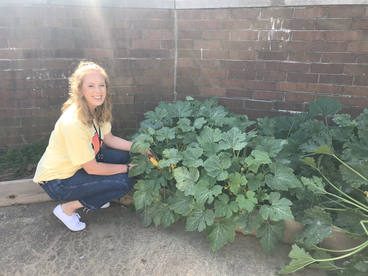 FCHS_FACS's tweet photo. Hey @GeorgiaOrganics! Check out our squash! Can’t wait for our classes to whip up something yummy. #gafccla #ohmysquash https://t.co/5D6F6hQy9R