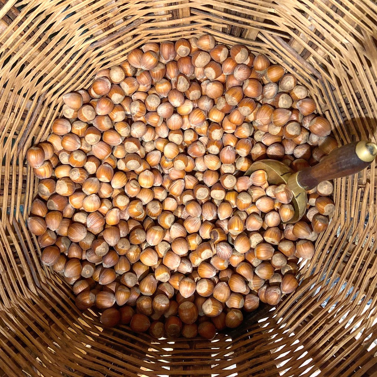 🤲🏻 Salut a grapats a <a href="/somcorbera/">Som Corbera</a>. Bon cap de setmana a tots! #salut #grapats #somcorbera #corberafruits #corbera