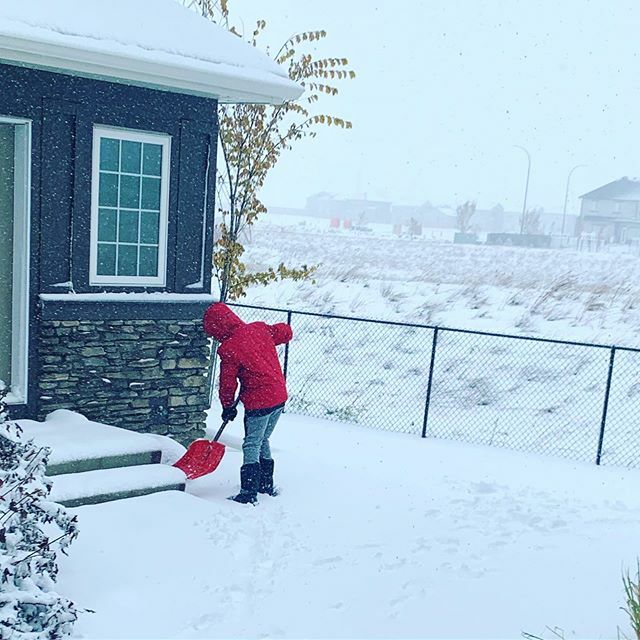 CarlySab23's tweet photo. Jack is shovelling the neighbour’s porches. Such a good kid. https://t.co/C0zxBAwuxd https://t.co/srpg6BPcVJ