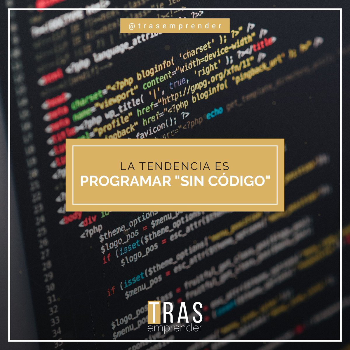 trasemprender's tweet photo. Ya no hace falta ser un #experto en programación para hacer pruebas de concepto... cualquier de estas herramientas te pueden ayudar a crear soluciones digitales fácilmente https://t.co/Fv8xVqTjsQ https://t.co/9XGpL3brnN