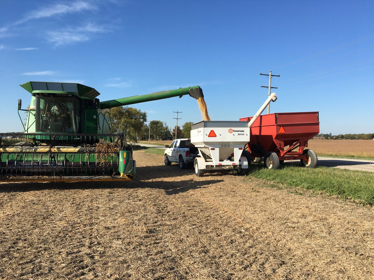 MillsDann's tweet photo. Great day to harvest a IP soybean plot  Thanks Gearld https://t.co/iXdolBpARL