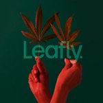 Image for the Tweet beginning: #Cannabis Information Site @Leafly Leaked