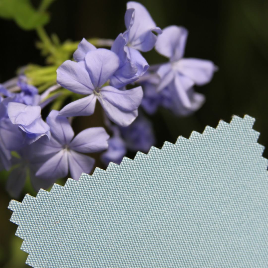 miamicorp's tweet photo. Tempotest USA on Instagram: “Tempotest marine and awning fabrics give ease of mind when the unexpected happens. A simple soft brush, mild soap and warm water are all…”
#fabricsample #designinspiration #inspirationfromnature https://t.co/lJ2wHAxur4 https://t.co/lKV6O9DN3a