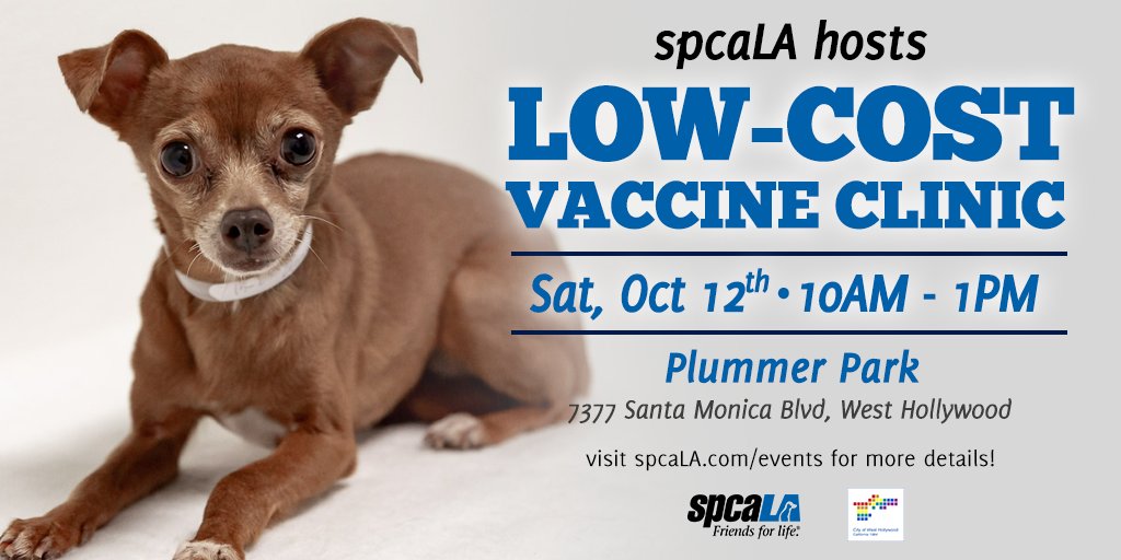Tomorrow - <a href="/spcaLA/">spcaLA</a> is teaming up with <a href="/WeHoCity/">City of West Hollywood</a> for our Low Cost Vaccine Clinic 💉 Join us from 10 am - 1 pm at Plummer Park. We'll be there with puppy &amp; kitten packages, flea treatments, de-wormer and more!
Full details &amp; prices on our website - ow.ly/Ez5l50wGKsD