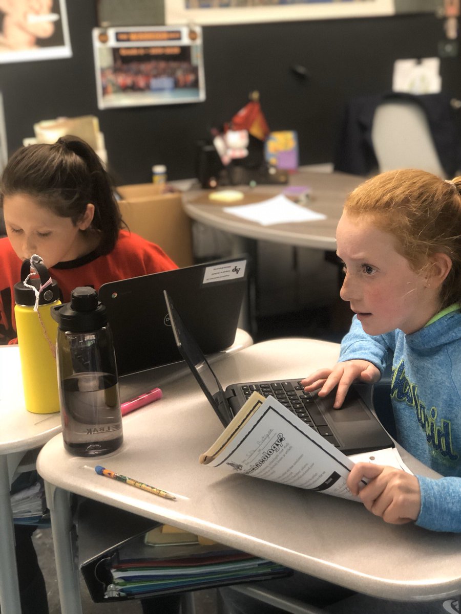 MrsCin603's tweet photo. Gimkit today! As you can see the students were engaged!  #AP_EveryStudentEveryDay #AverillParkCSD #APtransforms https://t.co/agg6NKy09l